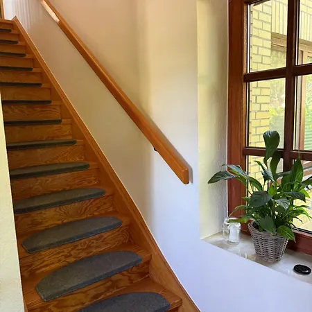 Wiesenblick Buchen (Schleswig-Holstein)