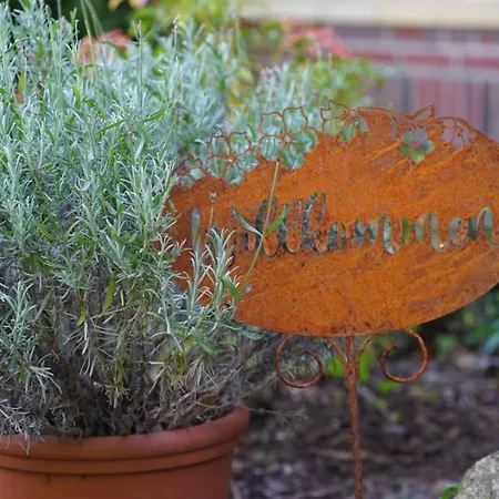 Wiesenblick Apartament *